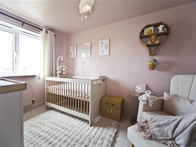 Picture 13